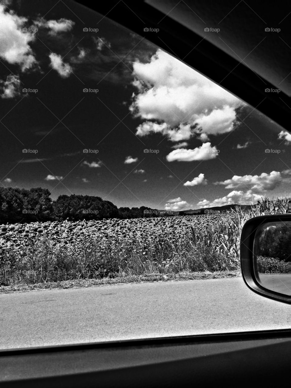 Monochrome, Street, Car, Transportation System, Landscape