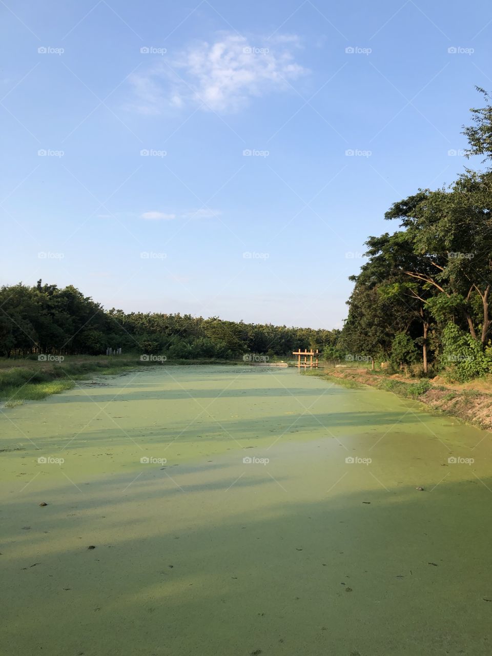 The stories of the nature, Countryside ( Thailand 🇹🇭