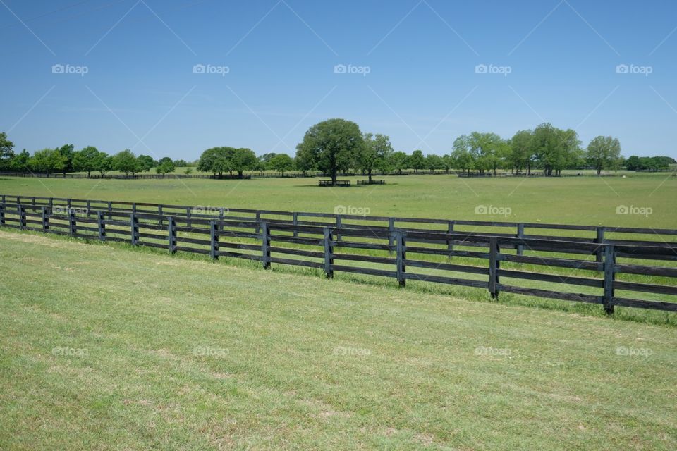 Horse farm