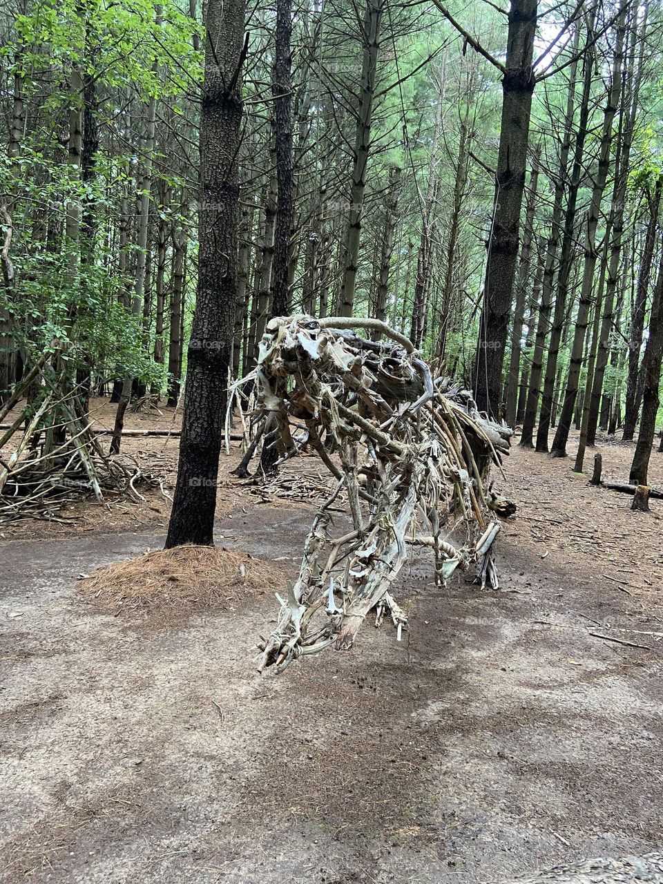 Dinosaur made from tree branches that a local artist made in the woods of Allaire State Park. This is one if my favorite places to walk. Everyone loves it, especially the children. Magical!