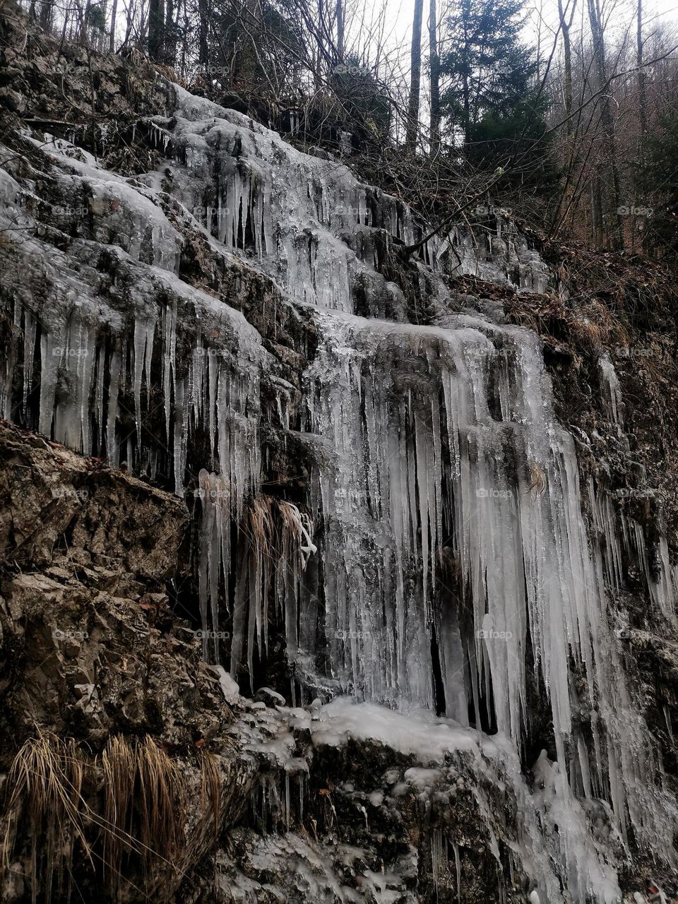decorations on trail