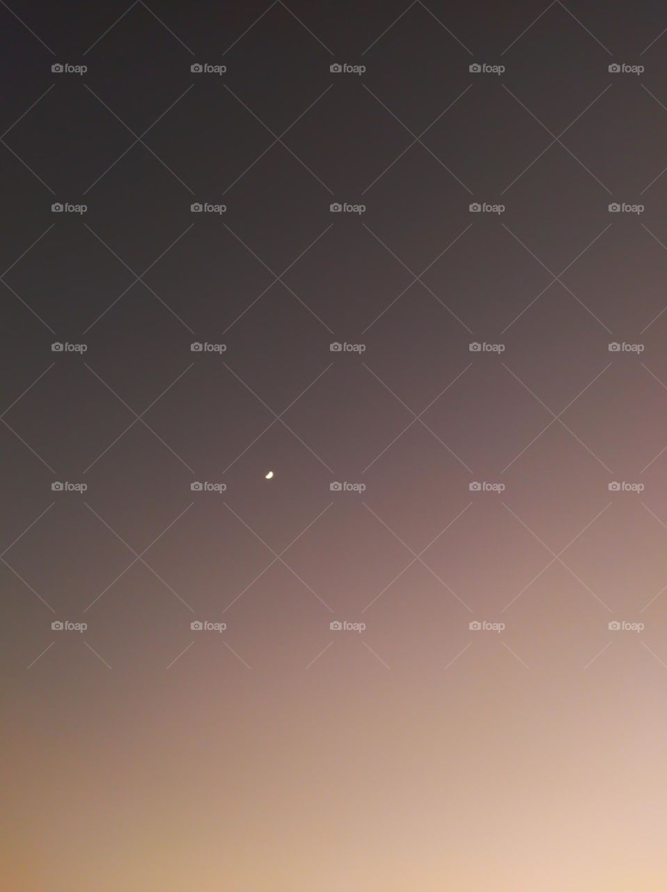 crescent in the dark sky at dusk time , minimal concept