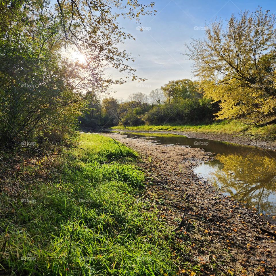 Creek bottom evening in nature