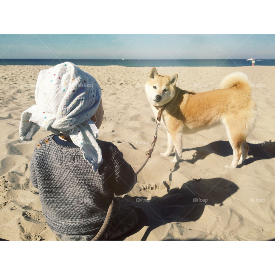 A little boy and hos dog on the beach