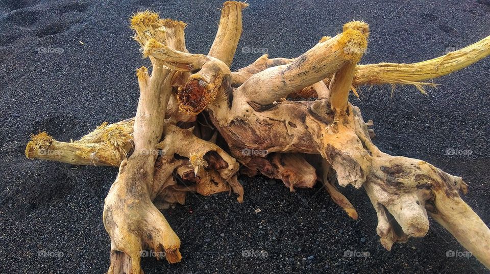 Driftwood in Bali comes in the weirdest shapes and colors..