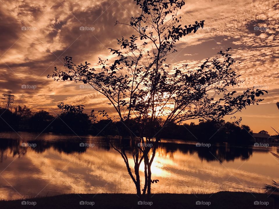 A complex Sunset A complex Twilight heading into a very complex closing scenery into the Night. 
