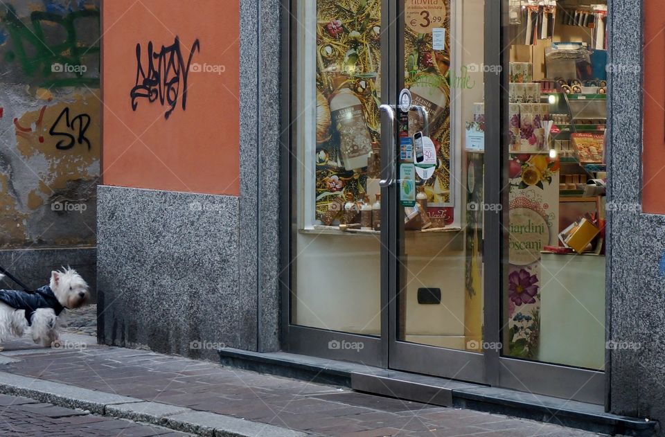 Storefront in Italy. Holiday season in Pavia