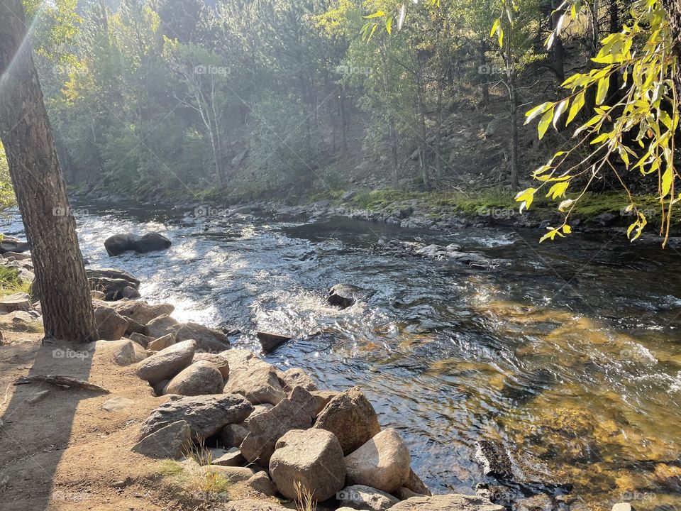 Sunny Stream