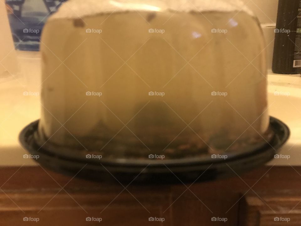 Brought my cake from store cleaned it