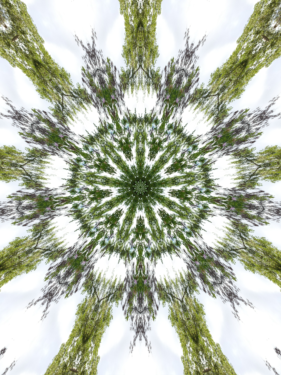 Green and white abstract