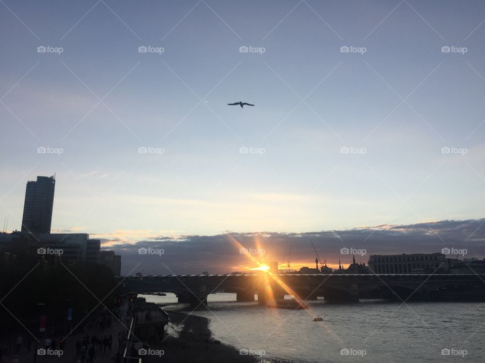 Freedom over corporate captive. Walking over millennium bridge at sunset, bird flying over Blackfriars station