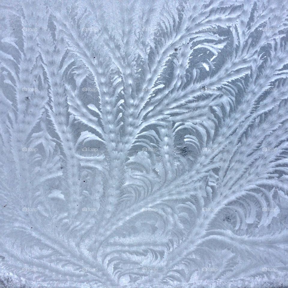 Frost pattern on glass 