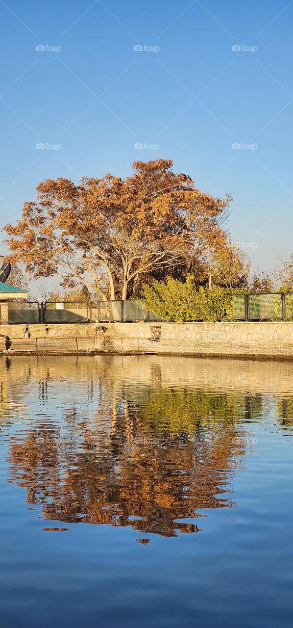 The reflection of autumn colors on the water is memorable