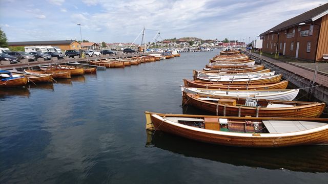 Treeboats