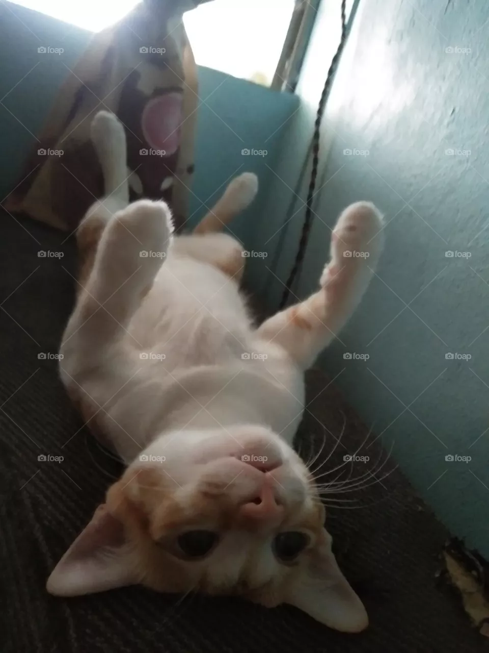 Just sleeping