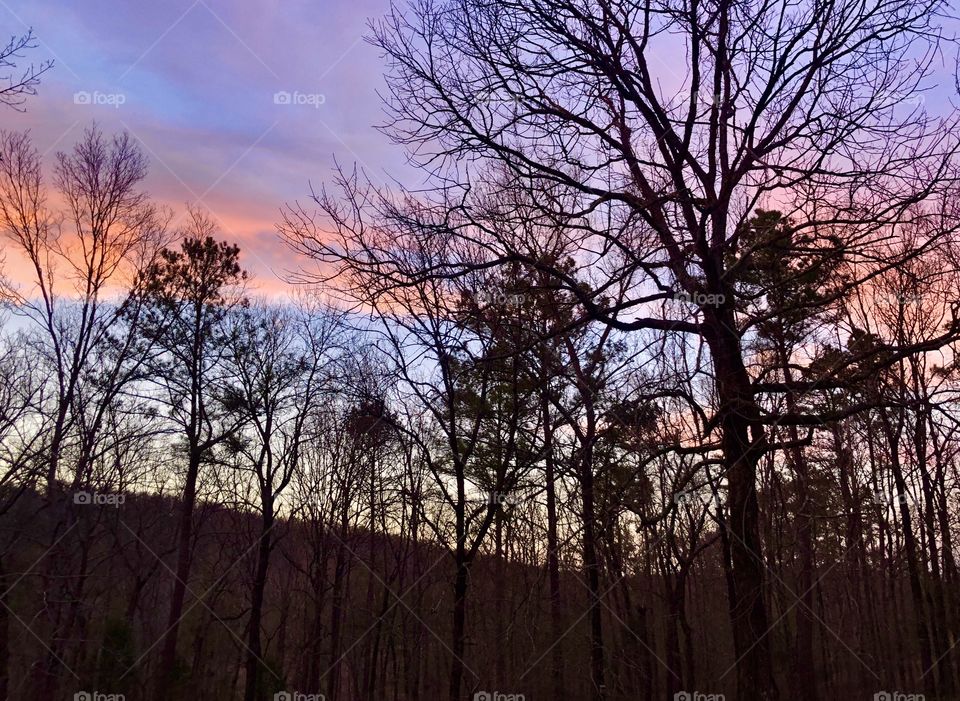 View of the north sky at sunset in the winter forest 