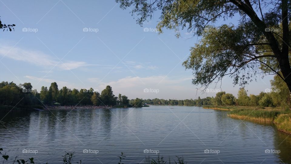 Water, Lake, Tree, River, Reflection