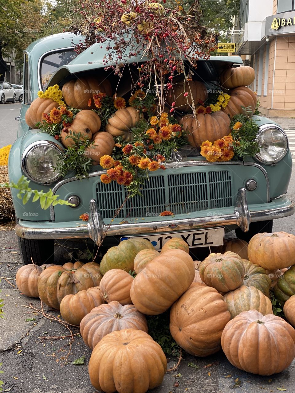 A car full of pumpkin