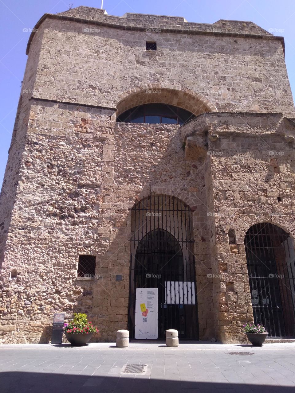 Editors' Choice - Photo of the Week