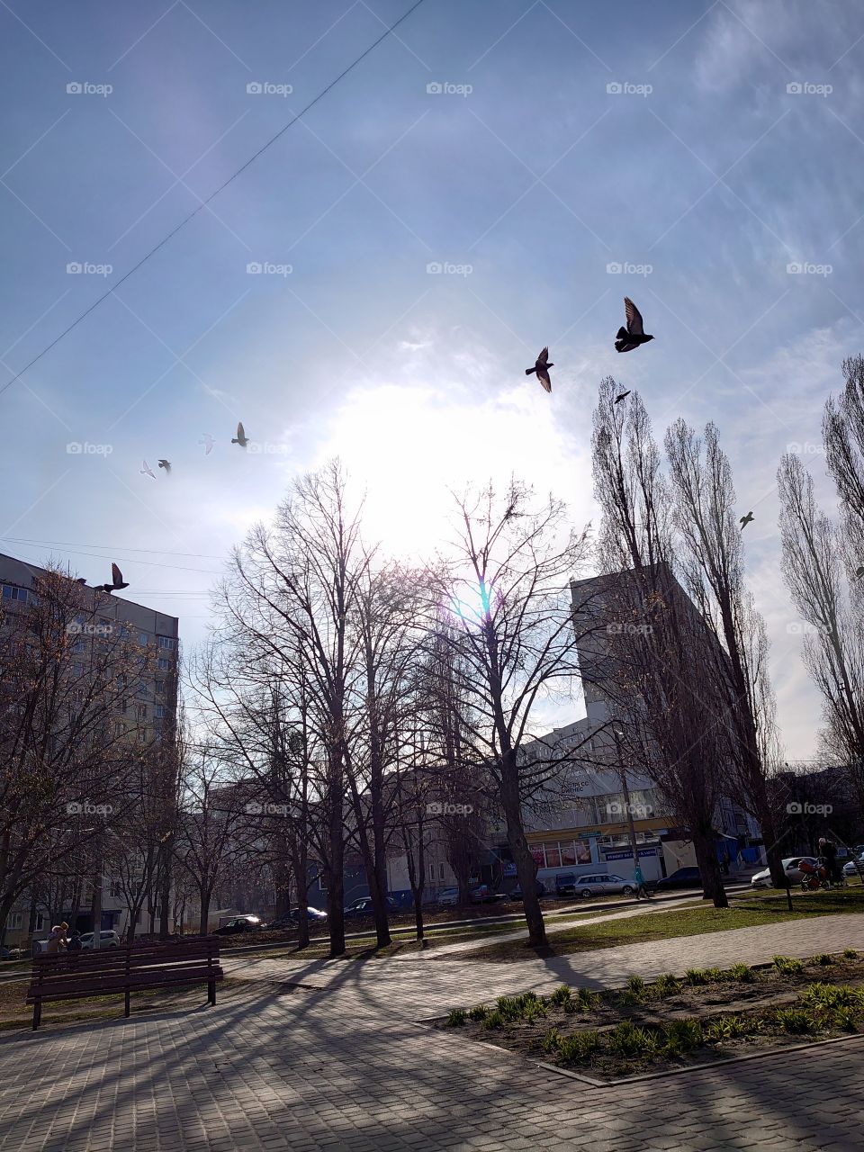 A bright and warm sun that gives us happiness. I want to keep such bright days in my memory and in the photo.