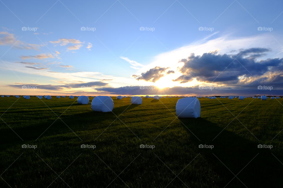 sunset over field in iceland