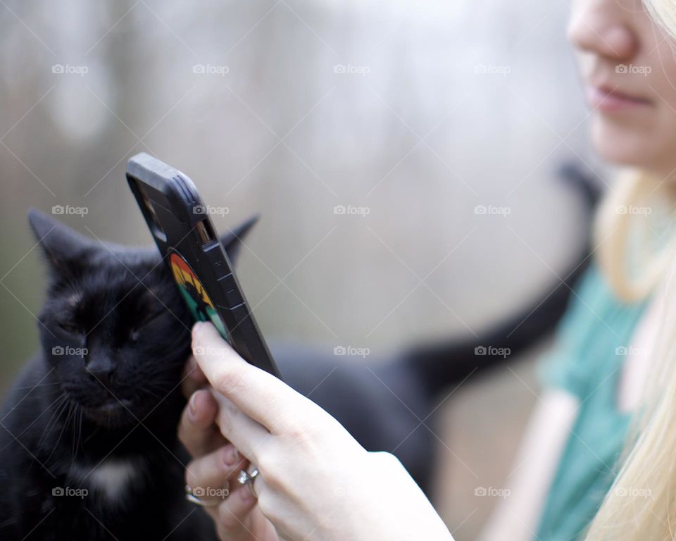 Woman using her phone while her cat tries to get her attention 