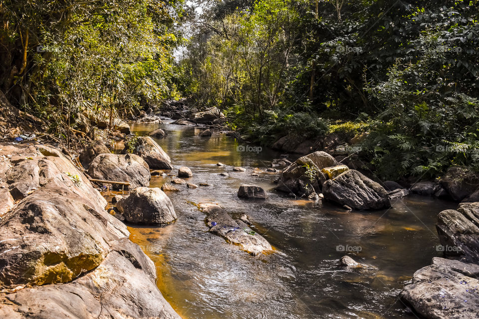 A beautiful stream found in dense forest region, Andhra Pradesh.