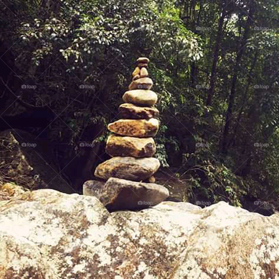 Welcome  to foap premium !