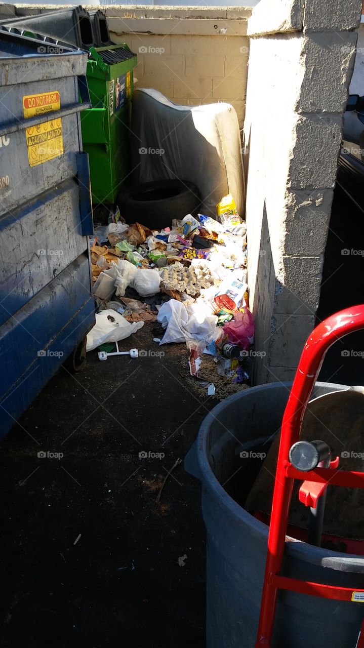 every day is trash day