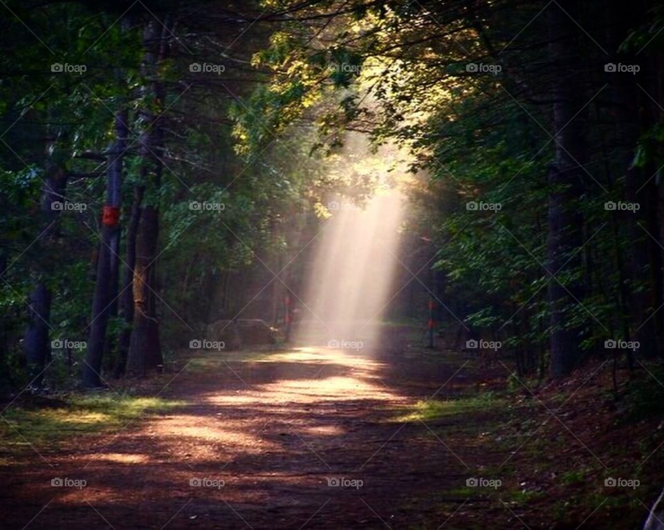 Sunray on rail trail 