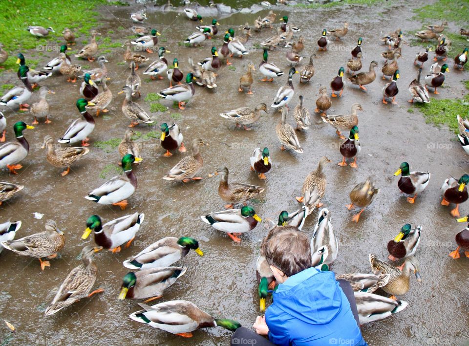 Feeding the ducks, a great outdoor hobby
