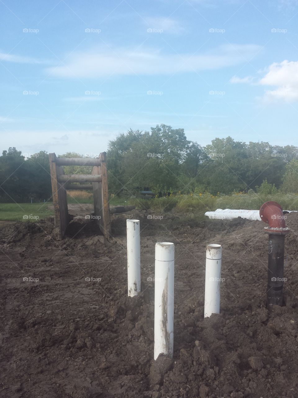 developmental elements