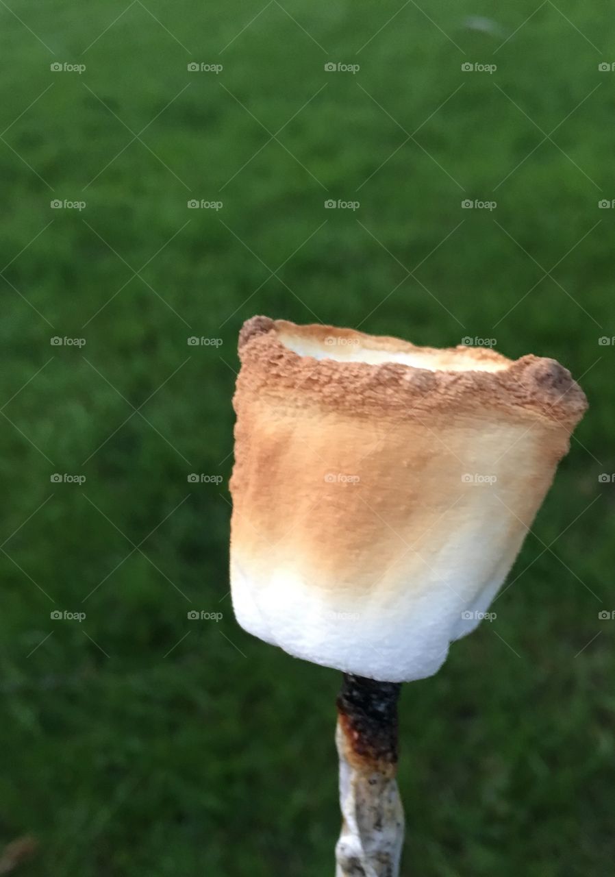 Golden marshmallows 