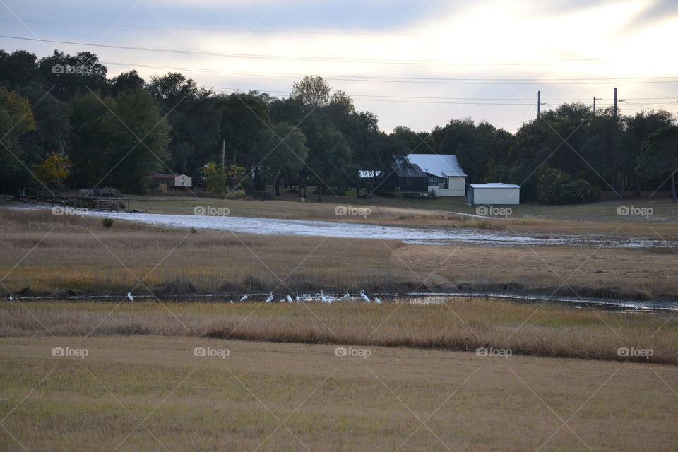 what's left of our lake :(