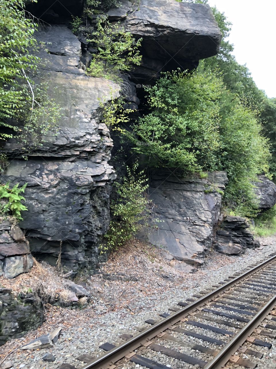 Train ride through the mountainside 