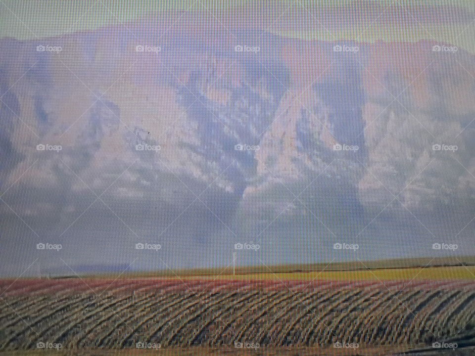 plantação no cerrado africano