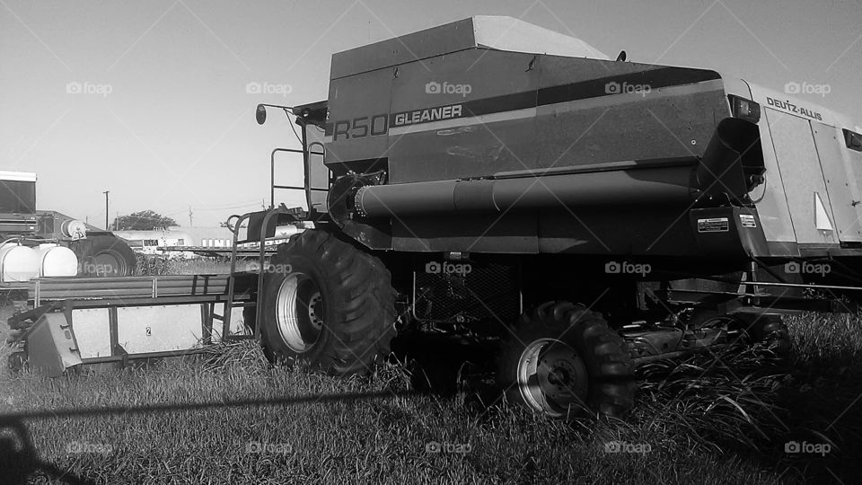 Harvest time ⌚ 2. This is a picture of a gleaner combine which is very efficient when cutting wheat that is very low to the ground