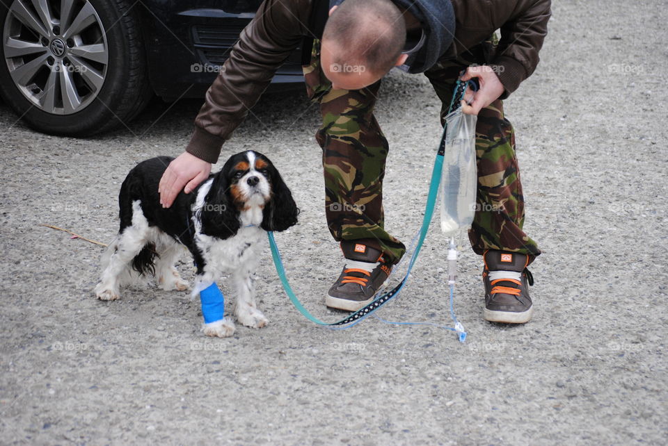 Man petting a dog whose on a drip 