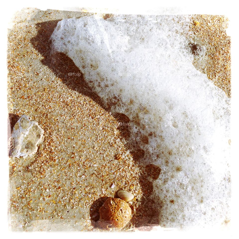Sea Foam and shell on beach