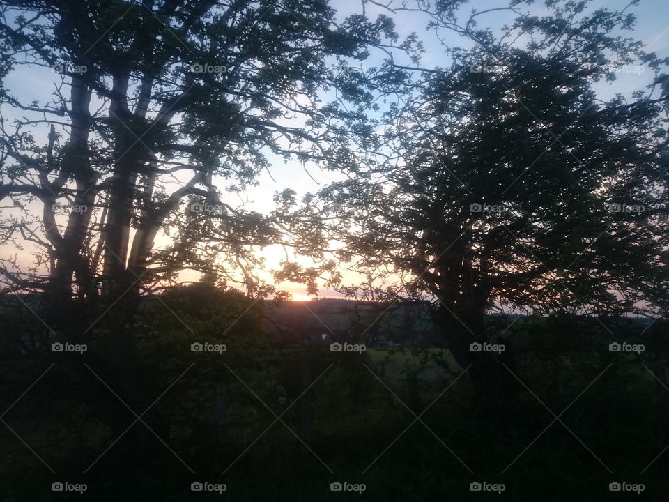 Another sunset through the trees on May 14th 2019 in Jedburgh