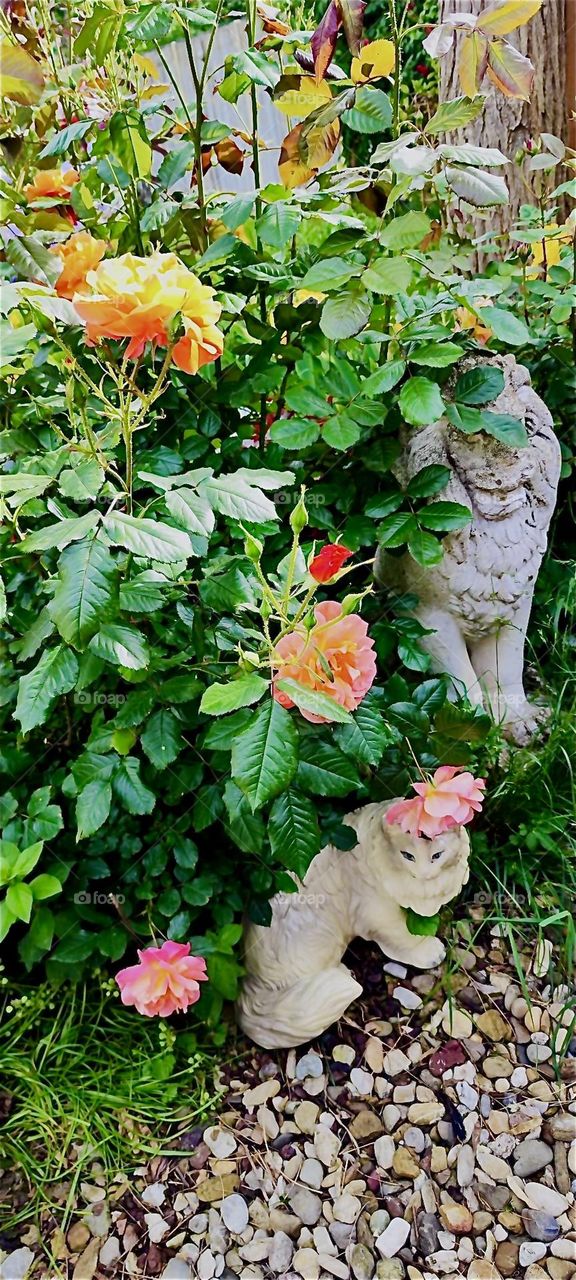A white lion garden sculpture adorns the locale next to the yellow and pink rose bushes in this beautiful garden in rural „Lower Bavaria“, Germany. 2024. Hypnotic Productions