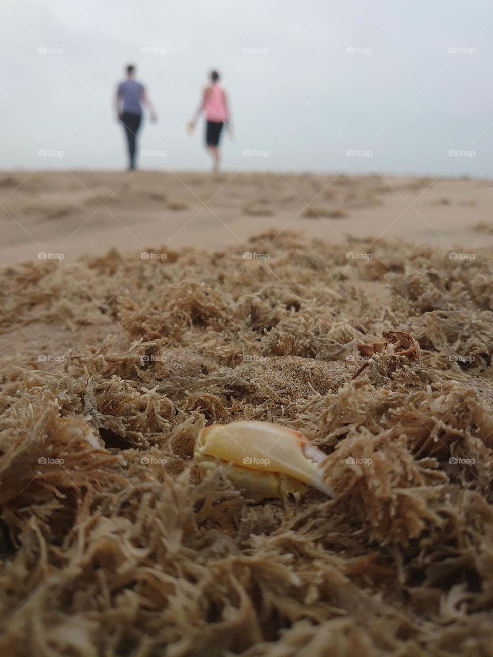 Beachlife