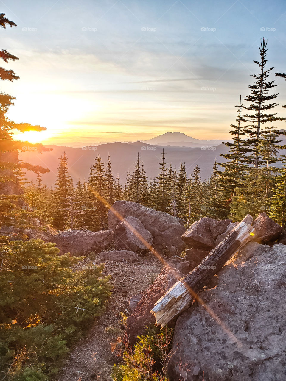 October by Mt Rainier, WA