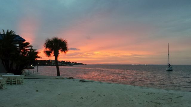 Morning Sunrise. Sunrise on Tampa Bay
