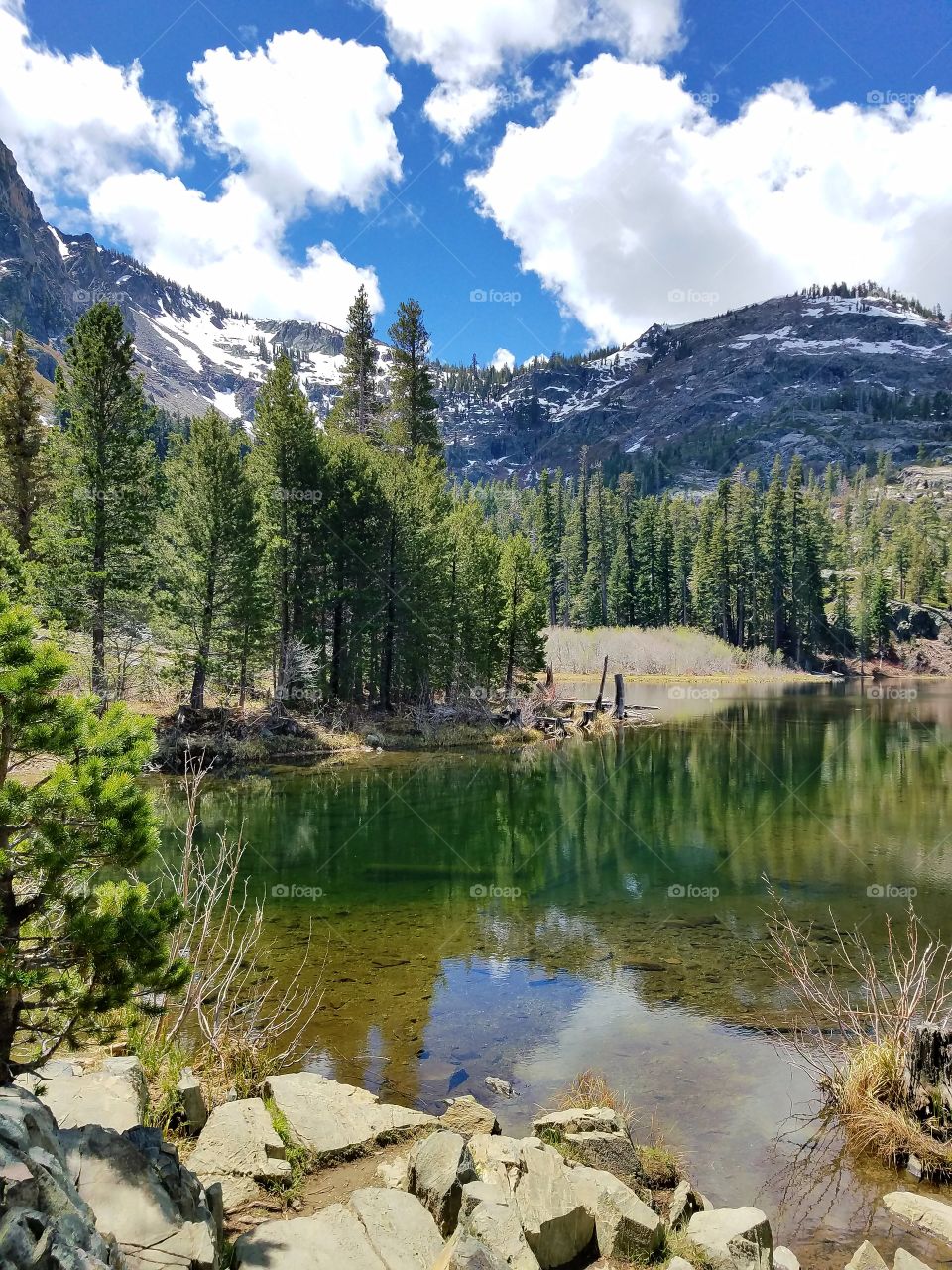 springtime in our Sierras!