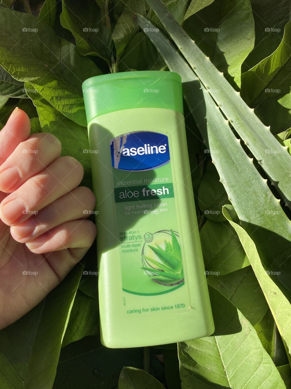 Skin care and nourishing with Vaseline lotion