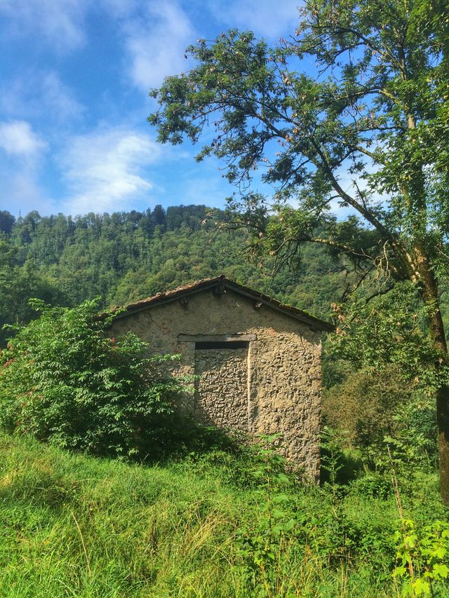 Mountain rustic