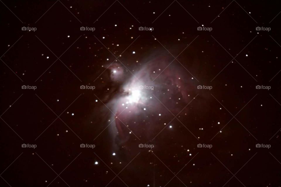 Orion Nebula