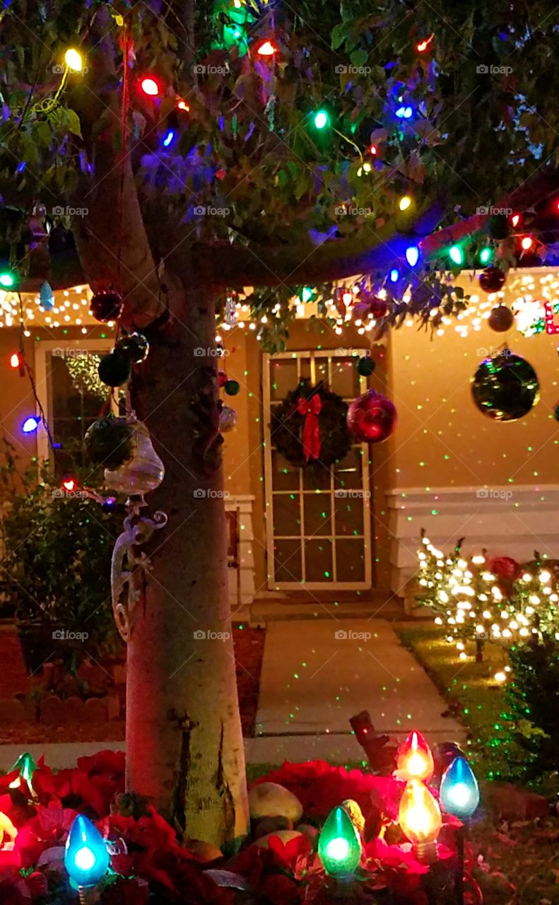 Wonderful time of the year when neighborhoods are transformed by colorful lights!