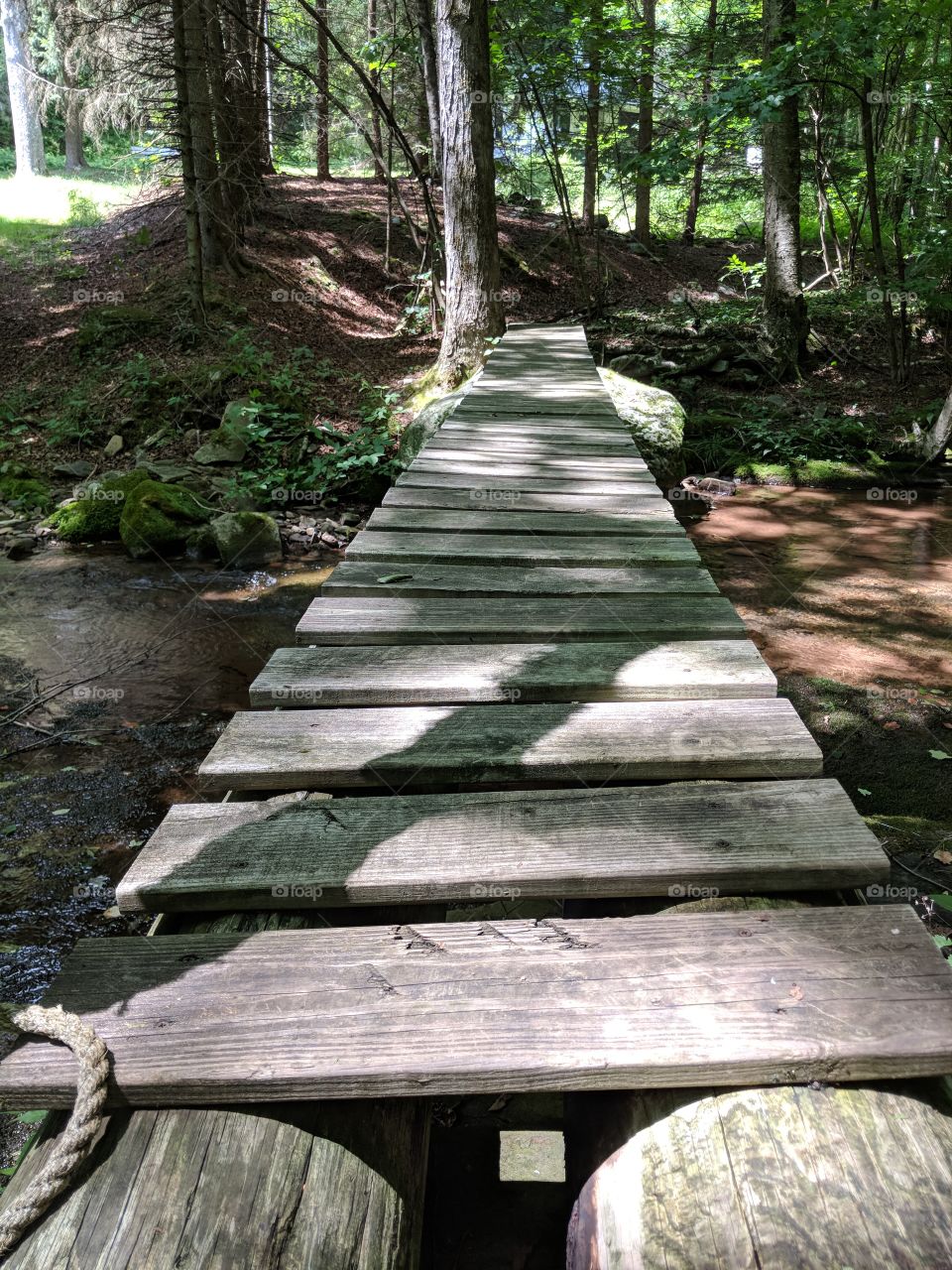 Wooden woodland crossing bridge.